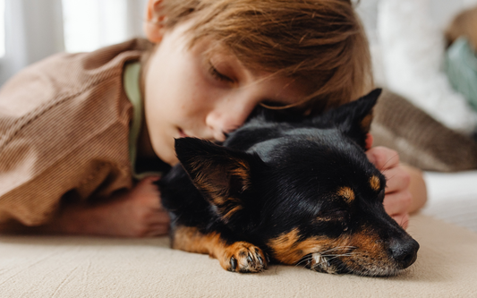 perrito relajado durmiendo con niño