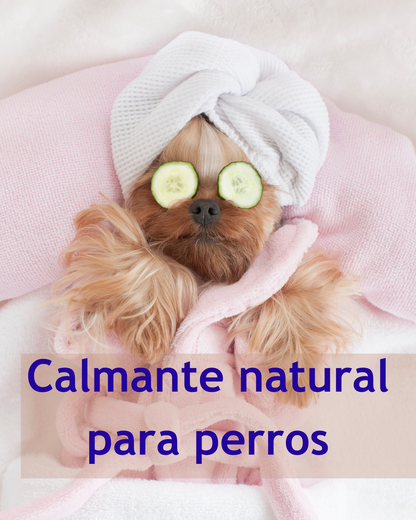 Calmante natural para perros