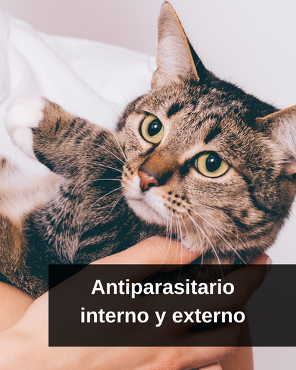 Antiparasitario interno y externo para gatos Labyes