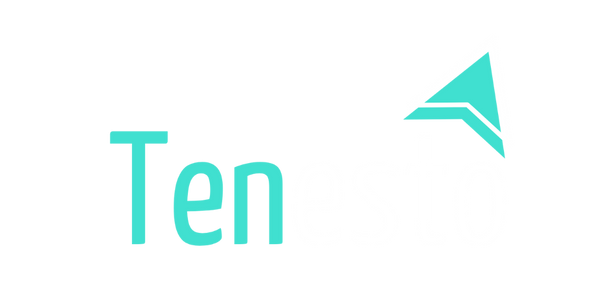 tenesto.com