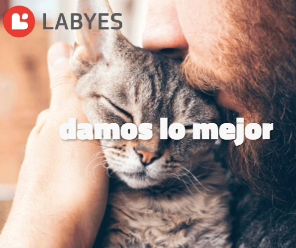 Antiparasitario interno y externo para gatos Labyes