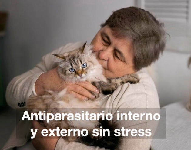 Antiparasitario interno y externo para gatos Labyes